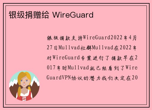 银级捐赠给 WireGuard 